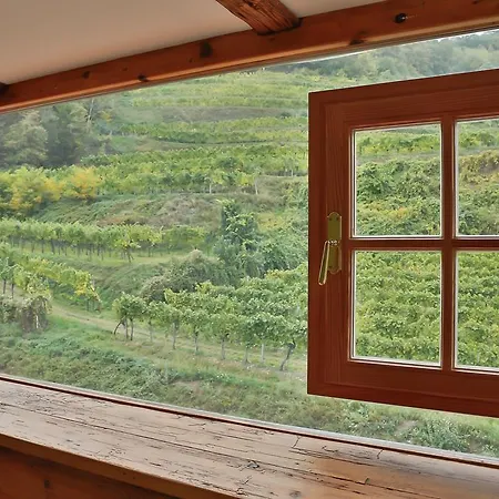 Schlaf Gut - Mitten In Der Wachau Appartement Weissenkirchen in der Wachau
