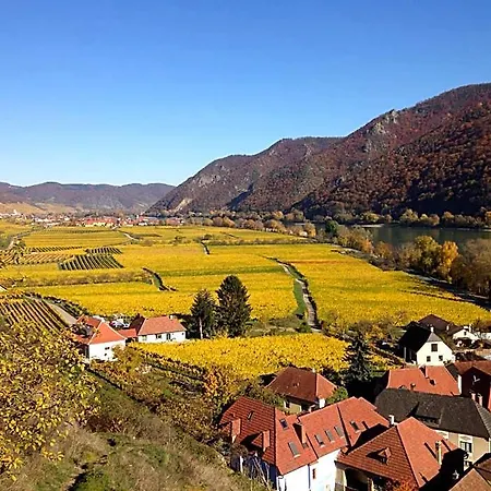 Апартаменты Apartement Schlaf Gut - Mitten In Der Wachau