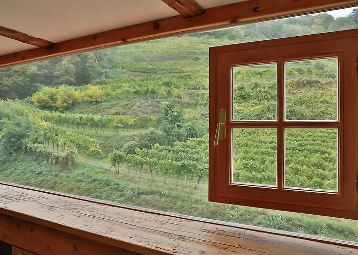 Schlaf Gut - Mitten In Der Wachau Appartement Weißenkirchen in der Wachau